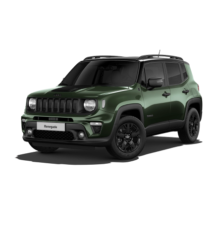 RENEGADE 4XE 